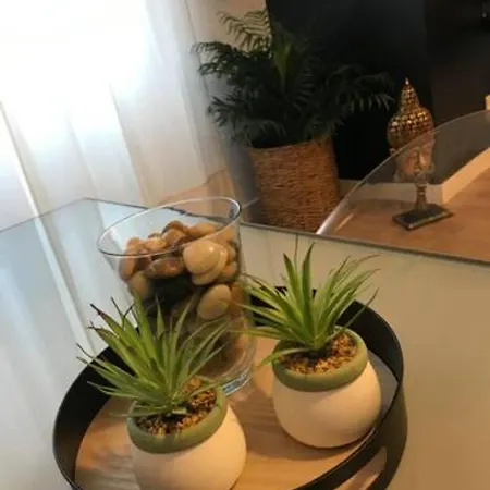 Nuevo En Playa De Canteras