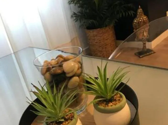 Nuevo En Playa De Canteras